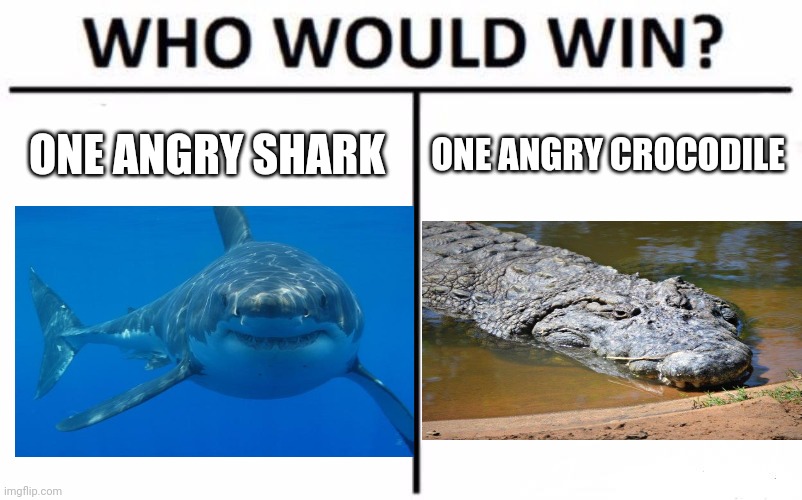 Who Would Win? | ONE ANGRY SHARK; ONE ANGRY CROCODILE | image tagged in memes,who would win | made w/ Imgflip meme maker