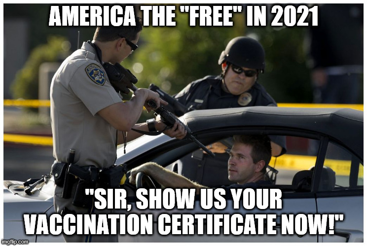 Covid-19 Coronavirus Vaccination Plan To Take Away Our Freedoms | AMERICA THE "FREE" IN 2021; "SIR, SHOW US YOUR VACCINATION CERTIFICATE NOW!" | image tagged in vaccines,vaccine,bill gates,covid19,covid,coronavirus | made w/ Imgflip meme maker