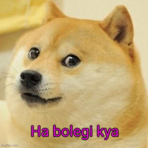 Funny boys | Ha bolegi kya | image tagged in memes,doge,boys,girl,funny memes,college | made w/ Imgflip meme maker