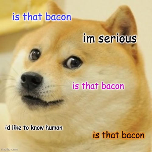 lololol | is that bacon; im serious; is that bacon; id like to know human; is that bacon | image tagged in memes,doge | made w/ Imgflip meme maker