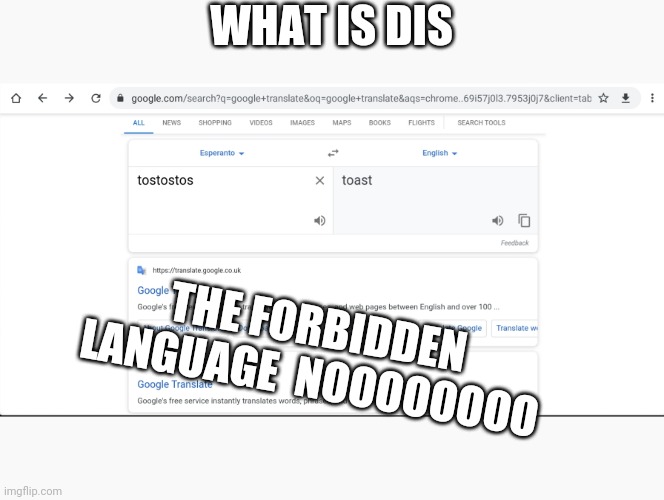 The forbidden language | WHAT IS DIS; THE FORBIDDEN LANGUAGE  NOOOOOOOO | image tagged in memes | made w/ Imgflip meme maker