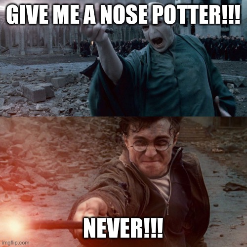 A nose | GIVE ME A NOSE POTTER!!! NEVER!!! | image tagged in harry potter,nose | made w/ Imgflip meme maker