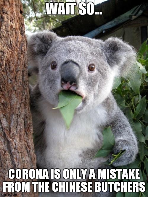 Surprised Koala | WAIT SO... CORONA IS ONLY A MISTAKE FROM THE CHINESE BUTCHERS | image tagged in memes,surprised koala | made w/ Imgflip meme maker