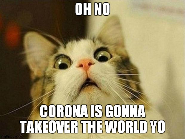 Scared Cat Meme | OH NO; CORONA IS GONNA TAKEOVER THE WORLD YO | image tagged in memes,scared cat | made w/ Imgflip meme maker