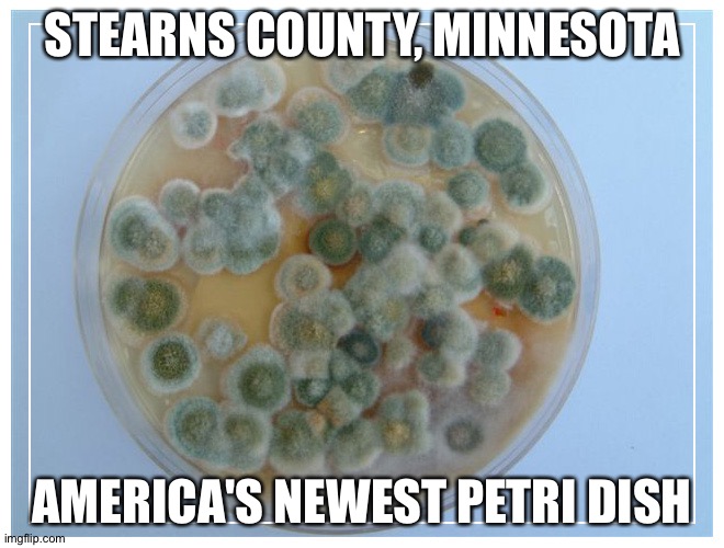 Businesses conspiring to defy state law | STEARNS COUNTY, MINNESOTA; AMERICA'S NEWEST PETRI DISH | image tagged in petri dish full | made w/ Imgflip meme maker