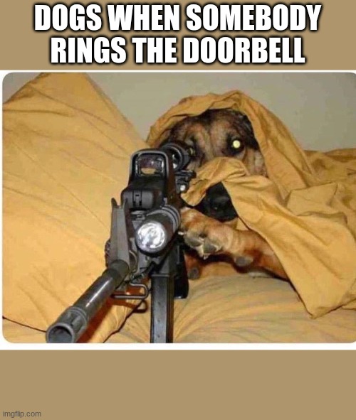 dog snipe | DOGS WHEN SOMEBODY RINGS THE DOORBELL | image tagged in memes,funny,funny memes,lol,doge,dog | made w/ Imgflip meme maker