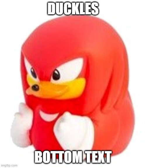 duckles | DUCKLES; BOTTOM TEXT | image tagged in sonic the hedgehog,knuckles | made w/ Imgflip meme maker