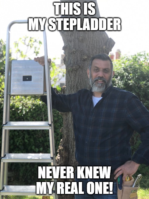 Stepladder | THIS IS MY STEPLADDER; NEVER KNEW MY REAL ONE! | image tagged in funny memes,funny,fun,lol | made w/ Imgflip meme maker