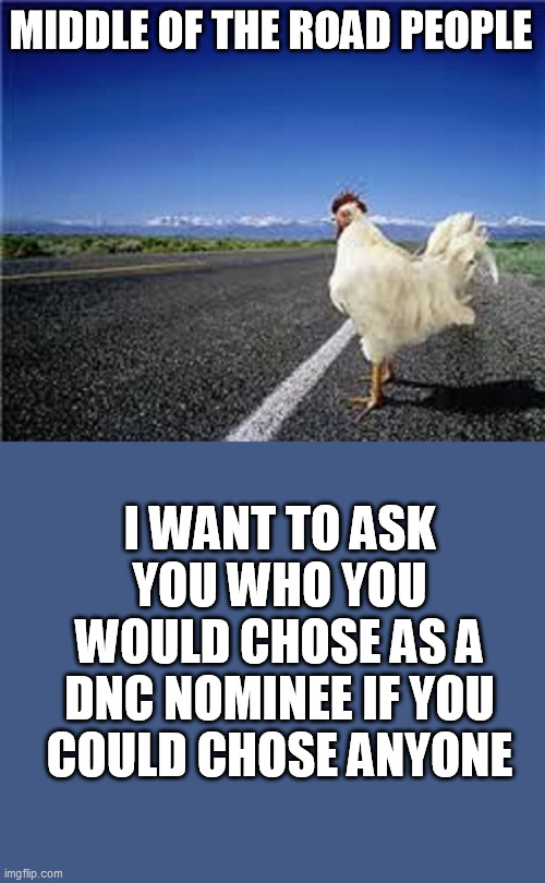 independents only or people who did not vote in the last election please | MIDDLE OF THE ROAD PEOPLE; I WANT TO ASK YOU WHO YOU WOULD CHOSE AS A DNC NOMINEE IF YOU COULD CHOSE ANYONE | image tagged in why did the chicken cross the road | made w/ Imgflip meme maker