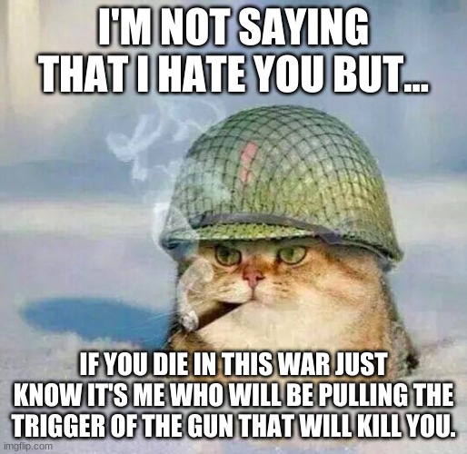 War Cat |  I'M NOT SAYING THAT I HATE YOU BUT... IF YOU DIE IN THIS WAR JUST KNOW IT'S ME WHO WILL BE PULLING THE TRIGGER OF THE GUN THAT WILL KILL YOU. | image tagged in war cat | made w/ Imgflip meme maker