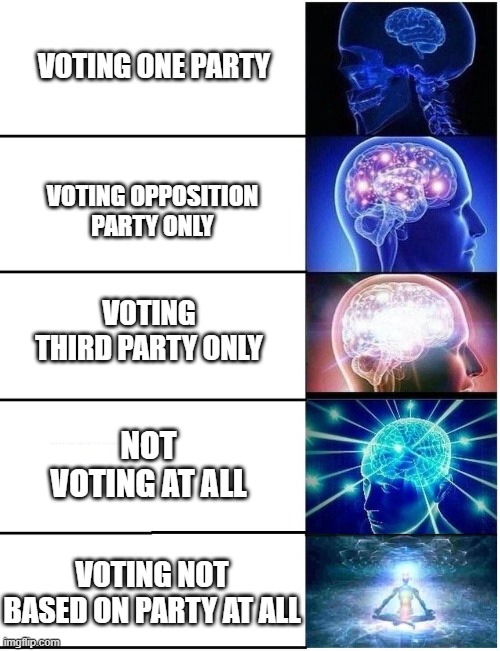 Expanding Brain 5 Panel | VOTING ONE PARTY; VOTING OPPOSITION PARTY ONLY; VOTING THIRD PARTY ONLY; NOT VOTING AT ALL; VOTING NOT BASED ON PARTY AT ALL | image tagged in expanding brain 5 panel | made w/ Imgflip meme maker