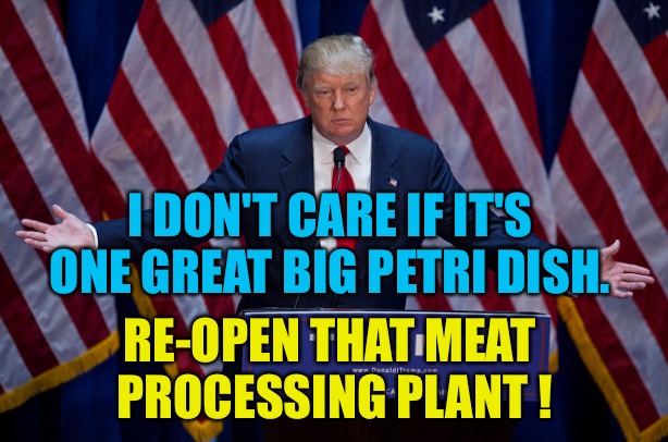 Half of your workers are sick, so what! | I DON'T CARE IF IT'S ONE GREAT BIG PETRI DISH. RE-OPEN THAT MEAT 
PROCESSING PLANT ! | image tagged in donald trump | made w/ Imgflip meme maker