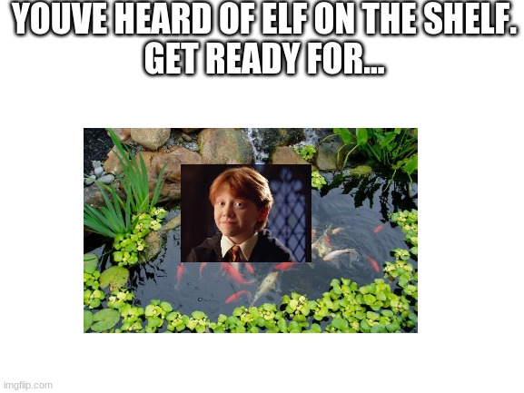 you should know it | YOUVE HEARD OF ELF ON THE SHELF.
GET READY FOR... | image tagged in hehe,get it,lol | made w/ Imgflip meme maker