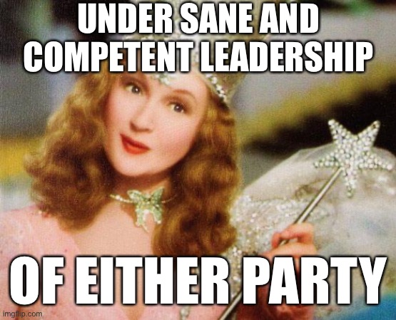 What kind of America would I like to live in? | UNDER SANE AND COMPETENT LEADERSHIP; OF EITHER PARTY | image tagged in glinda,america,politics,sanity,incompetence,trump is a moron | made w/ Imgflip meme maker
