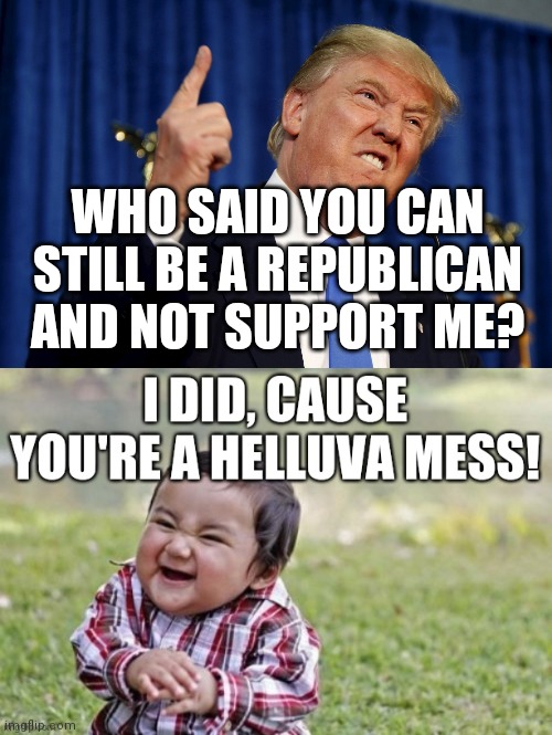 Even a toddler knows better | WHO SAID YOU CAN STILL BE A REPUBLICAN AND NOT SUPPORT ME? | image tagged in donald trump,election 2020,republicans,you know what really grinds my gears,independent | made w/ Imgflip meme maker