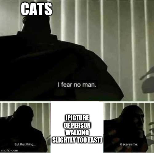 I fear no man | CATS; [PICTURE OF PERSON WALKING SLIGHTLY TOO FAST] | image tagged in i fear no man,cats | made w/ Imgflip meme maker
