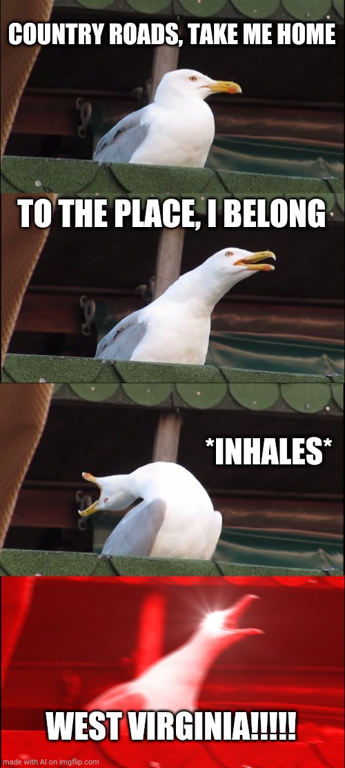 West Virginia | COUNTRY ROADS, TAKE ME HOME; TO THE PLACE, I BELONG; *INHALES*; WEST VIRGINIA!!!!! | image tagged in memes,inhaling seagull | made w/ Imgflip meme maker