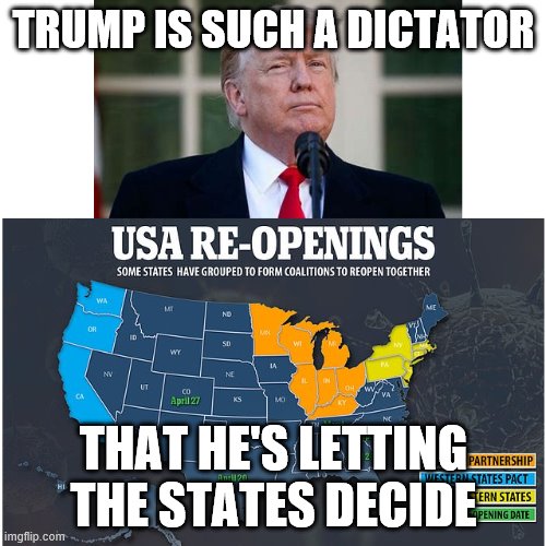 Trump Dictator | TRUMP IS SUCH A DICTATOR; THAT HE'S LETTING THE STATES DECIDE | image tagged in trump,dictator,federalism | made w/ Imgflip meme maker