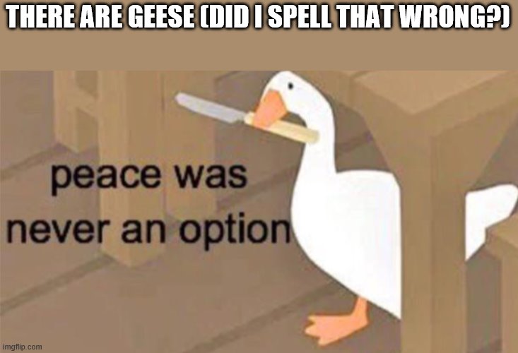 Untitled Goose Peace Was Never an Option | THERE ARE GEESE (DID I SPELL THAT WRONG?) | image tagged in untitled goose peace was never an option | made w/ Imgflip meme maker