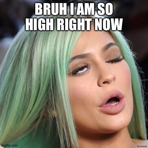 Bruhhhhh | BRUH I AM SO HIGH RIGHT NOW | image tagged in kylie jenner | made w/ Imgflip meme maker