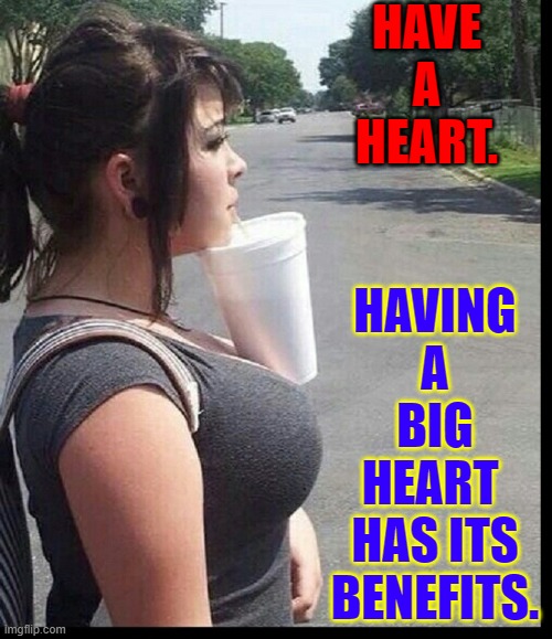 The Advantages of Having a Big Heart | HAVE A HEART. HAVING A BIG HEART 
HAS ITS BENEFITS. | image tagged in vince vance,beautiful girl,have a heart,funny memes,new memes,balance | made w/ Imgflip meme maker