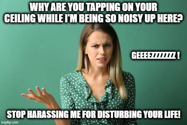 When you live below a noisy millennial | WHY ARE YOU TAPPING ON YOUR CEILING WHILE I'M BEING SO NOISY UP HERE? GEEEEZZZZZZZ ! STOP HARASSING ME FOR DISTURBING YOUR LIFE! | image tagged in indignant millennial,harassment,noise,indignant,millennials,fools | made w/ Imgflip meme maker