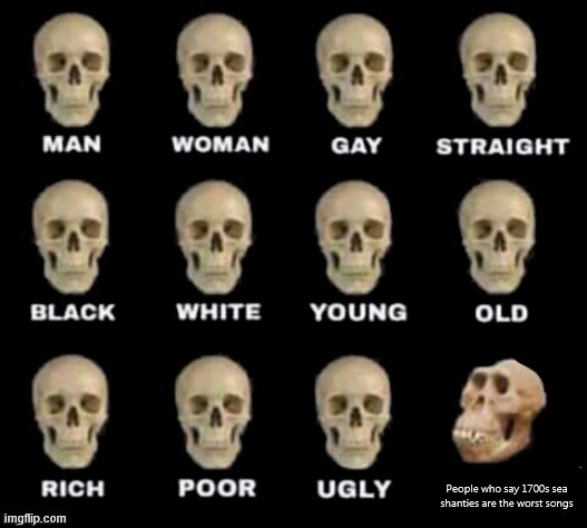 idiot skull | People who say 1700s sea shanties are the worst songs | image tagged in idiot skull | made w/ Imgflip meme maker