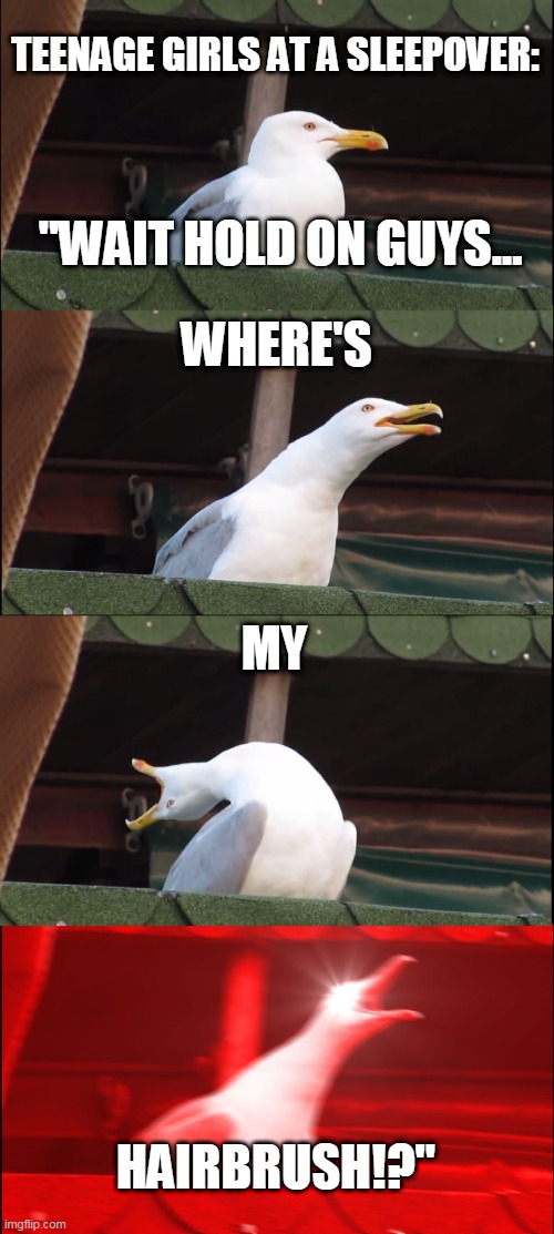 Inhaling Seagull Meme | TEENAGE GIRLS AT A SLEEPOVER:; "WAIT HOLD ON GUYS... WHERE'S; MY; HAIRBRUSH!?" | image tagged in memes,inhaling seagull | made w/ Imgflip meme maker