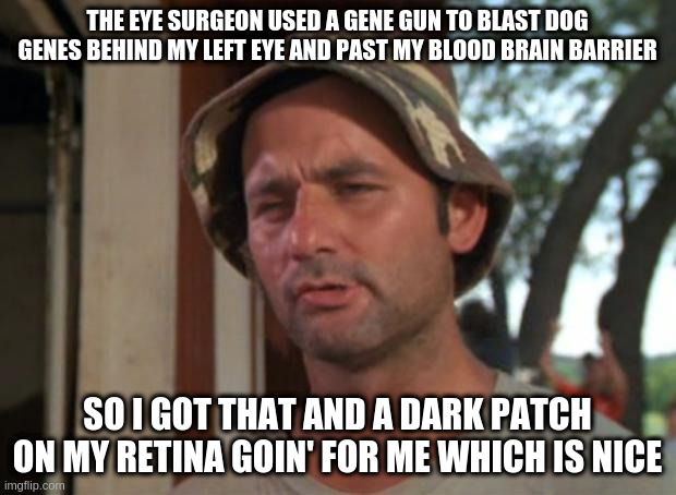 So I got that goin' for me which is nice... | THE EYE SURGEON USED A GENE GUN TO BLAST DOG GENES BEHIND MY LEFT EYE AND PAST MY BLOOD BRAIN BARRIER; SO I GOT THAT AND A DARK PATCH ON MY RETINA GOIN' FOR ME WHICH IS NICE | image tagged in memes,so i got that goin for me which is nice | made w/ Imgflip meme maker