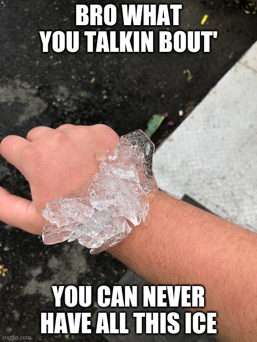 never | BRO WHAT YOU TALKIN BOUT'; YOU CAN NEVER HAVE ALL THIS ICE | image tagged in funny | made w/ Imgflip meme maker