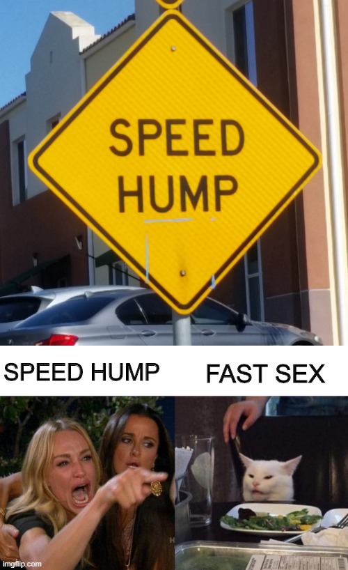 It's a Sign | FAST SEX; SPEED HUMP | image tagged in memes,woman yelling at cat | made w/ Imgflip meme maker