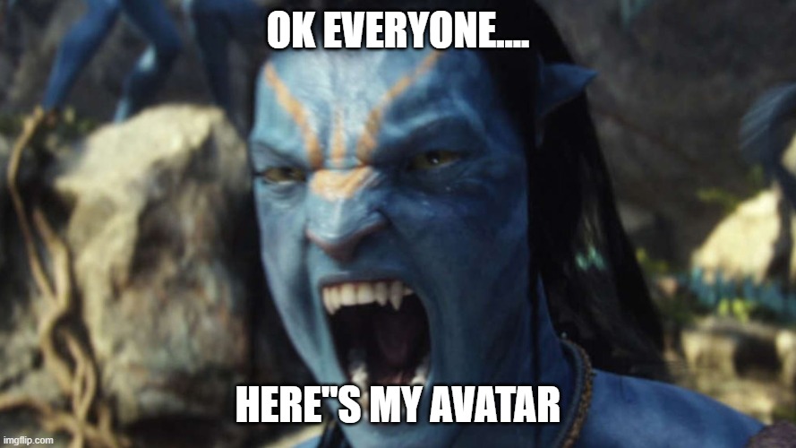 avatrap | OK EVERYONE.... HERE''S MY AVATAR | image tagged in funny | made w/ Imgflip meme maker