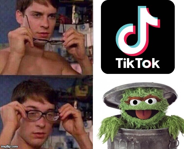 TIK TOK | image tagged in tiktok,tatti,trash can | made w/ Imgflip meme maker