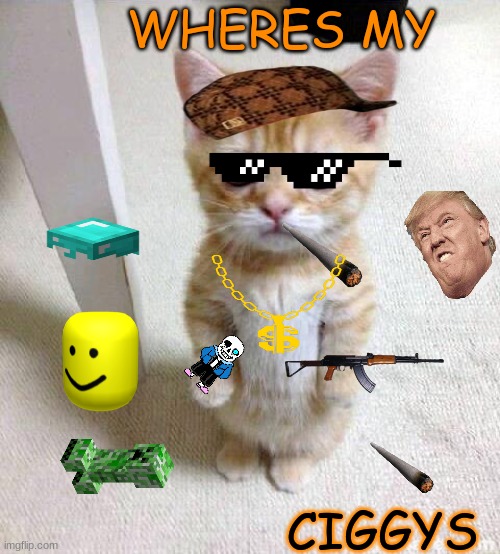 Memepocolypse Cat | WHERES MY; CIGGYS | image tagged in memes,cute cat | made w/ Imgflip meme maker