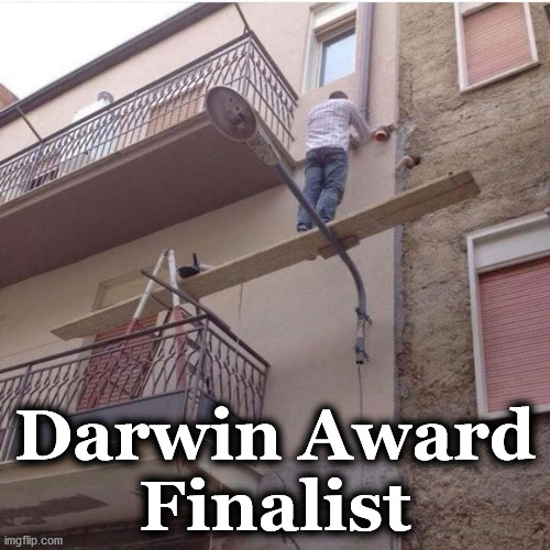 mojo | Darwin Award
Finalist | image tagged in mojo | made w/ Imgflip meme maker