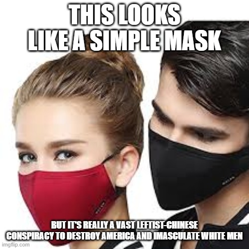 Share this before THE LEFTISTS take it down | THIS LOOKS LIKE A SIMPLE MASK; BUT IT'S REALLY A VAST LEFTIST-CHINESE CONSPIRACY TO DESTROY AMERICA AND IMASCULATE WHITE MEN | image tagged in mask couple,stupid conservatives,conspiracy theory | made w/ Imgflip meme maker