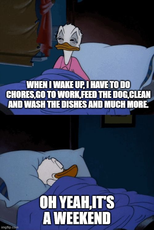 Sleeping Donald Duck | WHEN I WAKE UP, I HAVE TO DO CHORES,GO TO WORK,FEED THE DOG,CLEAN AND WASH THE DISHES AND MUCH MORE. OH YEAH,IT'S A WEEKEND | image tagged in sleeping donald duck | made w/ Imgflip meme maker