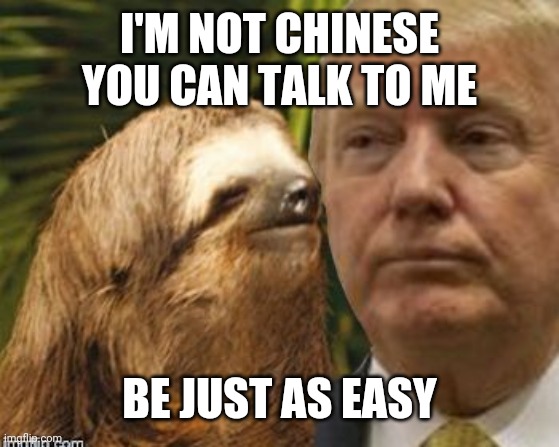 Political advice sloth | I'M NOT CHINESE YOU CAN TALK TO ME; BE JUST AS EASY | image tagged in political advice sloth | made w/ Imgflip meme maker