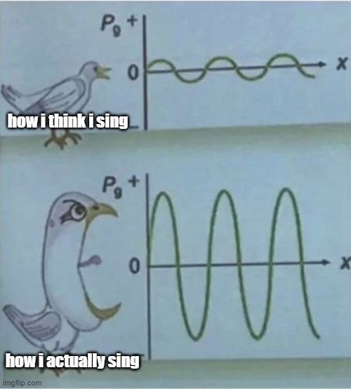 singing | how i think i sing; how i actually sing | image tagged in me irl | made w/ Imgflip meme maker