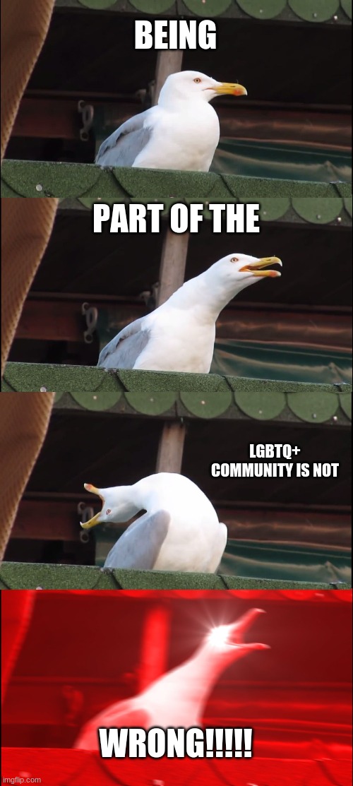 It Really Isn't | BEING; PART OF THE; LGBTQ+ COMMUNITY IS NOT; WRONG!!!!! | image tagged in memes,inhaling seagull | made w/ Imgflip meme maker