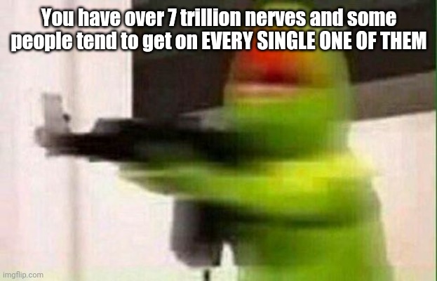 Kermit Gun | You have over 7 trillion nerves and some people tend to get on EVERY SINGLE ONE OF THEM | image tagged in kermit gun | made w/ Imgflip meme maker