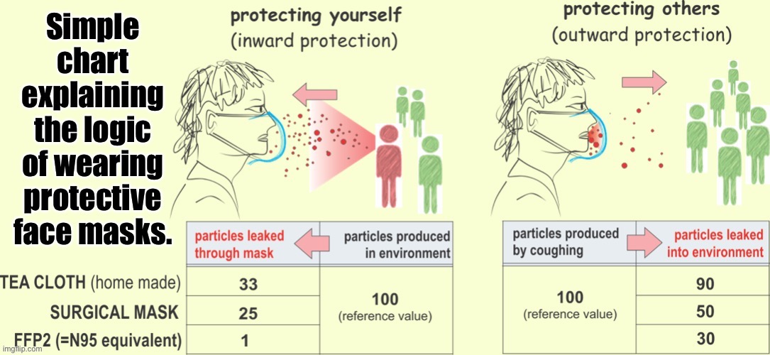 Face masks don’t offer compete protection. But common sense suggests they are better than nothing, and this chart explains why. | image tagged in face mask,charts,covid-19,coronavirus,science,health | made w/ Imgflip meme maker