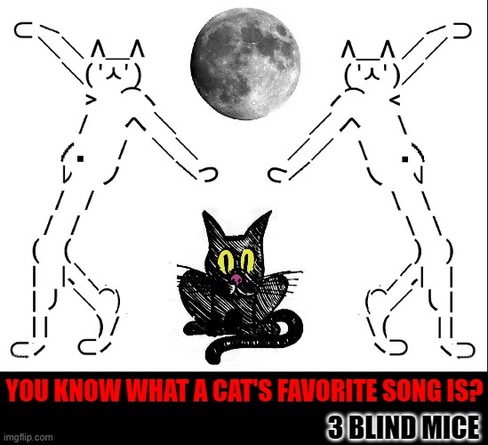 Meme Cat:  Stand-up Comedian | YOU KNOW WHAT A CAT'S FAVORITE SONG IS? 3 BLIND MICE | image tagged in vince vance,cats,meme,cat,favorite,song | made w/ Imgflip meme maker