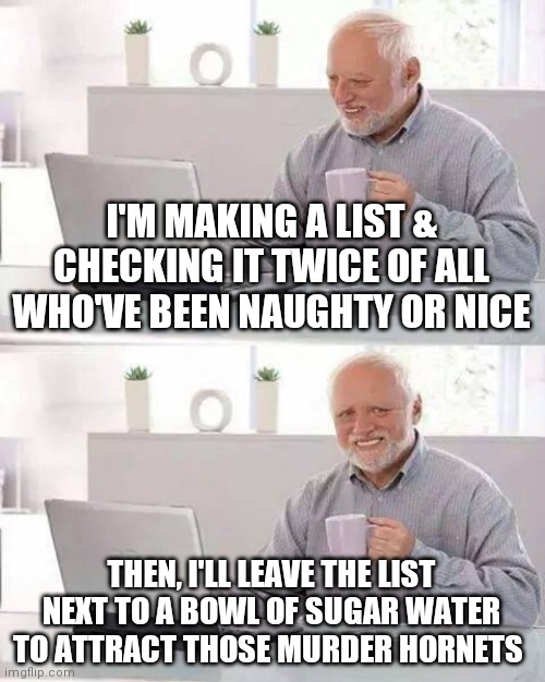 Politicians beware | I'M MAKING A LIST & CHECKING IT TWICE OF ALL WHO'VE BEEN NAUGHTY OR NICE; THEN, I'LL LEAVE THE LIST NEXT TO A BOWL OF SUGAR WATER TO ATTRACT THOSE MURDER HORNETS | image tagged in memes,hide the pain harold,satire,murder hornet,sarcastic,politicians | made w/ Imgflip meme maker