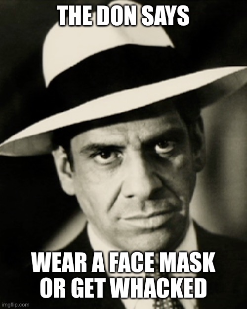 THE DON SAYS; WEAR A FACE MASK
OR GET WHACKED | image tagged in funny | made w/ Imgflip meme maker