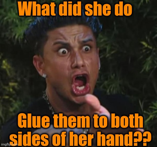 DJ Pauly D Meme | What did she do Glue them to both sides of her hand?? | image tagged in memes,dj pauly d | made w/ Imgflip meme maker