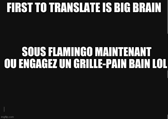 BlackBackground | FIRST TO TRANSLATE IS BIG BRAIN; SOUS FLAMINGO MAINTENANT OU ENGAGEZ UN GRILLE-PAIN BAIN LOL | image tagged in blackbackground | made w/ Imgflip meme maker