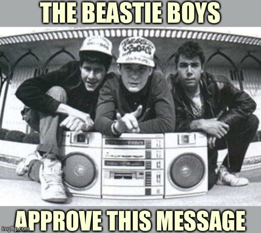 Self-explanatory. | THE BEASTIE BOYS APPROVE THIS MESSAGE | image tagged in beastie boys,covid-19,conservative logic,face mask,privilege,right | made w/ Imgflip meme maker