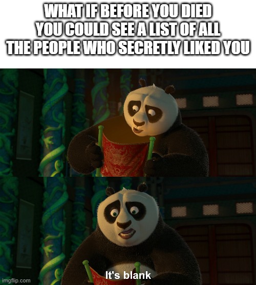 anyone else? |  WHAT IF BEFORE YOU DIED YOU COULD SEE A LIST OF ALL THE PEOPLE WHO SECRETLY LIKED YOU | image tagged in meme,po,kung fu panda | made w/ Imgflip meme maker