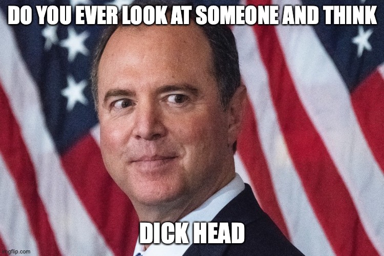DO YOU EVER LOOK AT SOMEONE AND THINK; DICK HEAD | image tagged in adam schiff,politics | made w/ Imgflip meme maker
